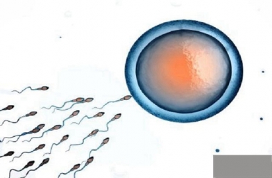 杭州试管婴儿胚胎移植后的注意事项